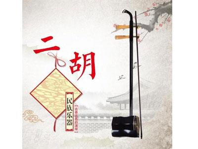 招聘邵阳二胡家教老师